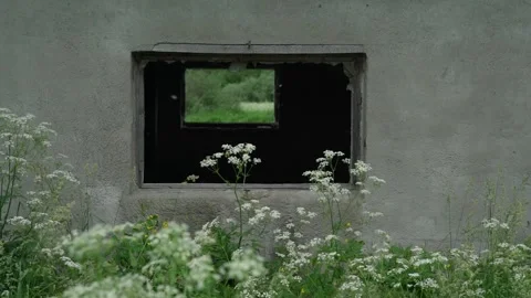 Outdated broken building windows in grey wall in summer Stock-Footage 135960341