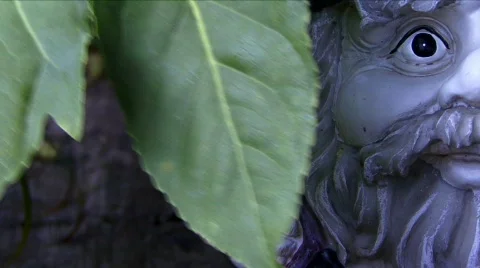 Outdoor-1 Stock Footage 69802