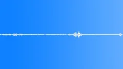 Outdoor ambience, gentle summer with cicadas and birdsSound Effect