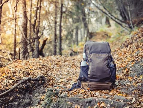 Outdoor backpack next to a tree trunk with green moss in the forest. Hiking.. Stock-Fotos