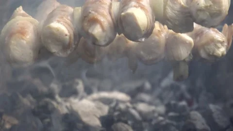 Outdoor barbecue Stock Footage 152373840