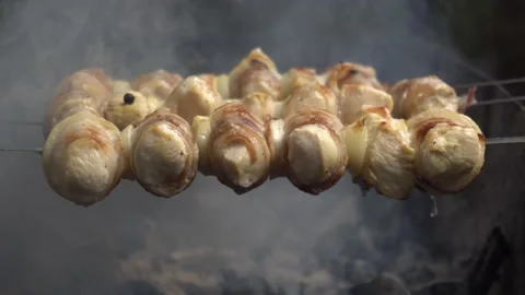 Outdoor barbecue Stock Footage 152373845