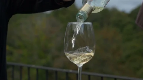 Outdoor Bartender Pours Wine Stock Footage 89502128