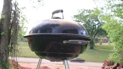 Outdoor BBQ Stock Footage 274573784