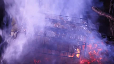 Outdoor BBQ Grill Stock Footage 151591607