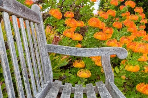 Outdoor bench Stock Photos