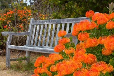Outdoor Bench Stock Photos