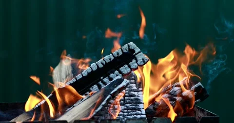 Outdoor Bon Fire Close Up. Burning logs in the fireplace. Recreational concept Video stock 131214637