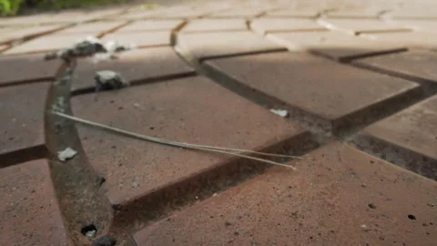 Outdoor Brick Pathway Surface Details. Close examination of city outdoor brick Stock Footage 335767818