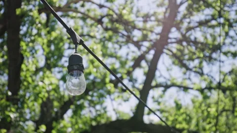 Outdoor bulbs hanging on string and wire underneath tree branches in forest Stock Footage 309662493