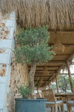 Outdoor caf Foto stock