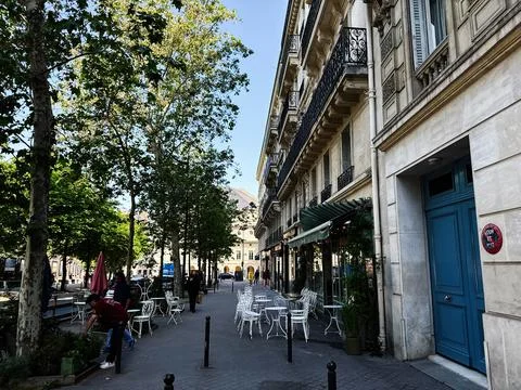 Outdoor cafe and tree lined street with classic Haussmann architecture in P.. Stock Photos