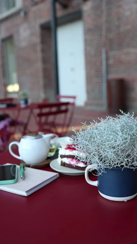 Outdoor cafe table with berry cake tea notebook phone and decorative plant Stock Footage 344447289