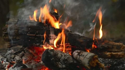 Outdoor Campfire Flames and Warm Wood Embers at Night Stock Footage 344746503