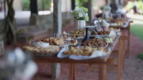 Outdoor Catering Buffet Table with Canapes and Finger Food at an Event Stock Footage 344436446