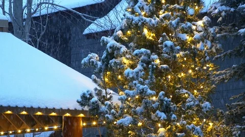 Outdoor christmas tree Stock Footage 99934683