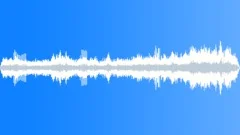 Outdoor city park ambiences with birds PT 1Sound Effect