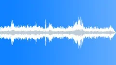 Outdoor city park ambiences with birds PT 2Sound Effect