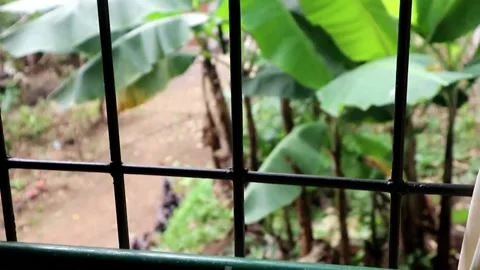 Outdoor conditions Stock Footage 201040377