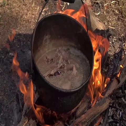 Outdoor Cooking Video stock 69273290