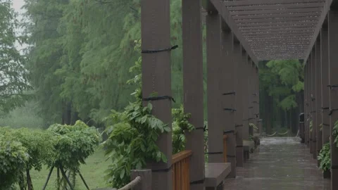 Outdoor corridor in heavy rain Stock Footage 337505570