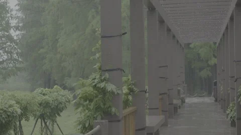 Outdoor corridor in heavy rain,V-Log; supports color grading. Stock Footage 337505566