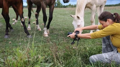 An outdoor creator uses a digital camera to capture photographs and video foo Stock Photos