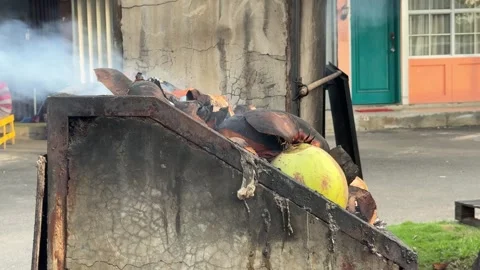 Outdoor Culinary Craft: Slow Roasting Coconuts with Woodfire and Visible Sm.. Video stock 325235428