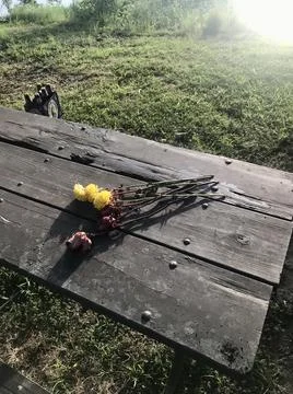 Outdoor Date Stock Photos