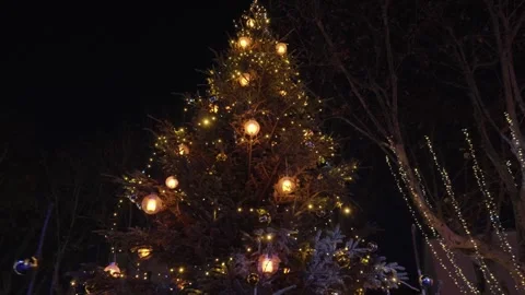Outdoor decorated christmas tree during night time, illuminated with lights in Stock Footage 296591061