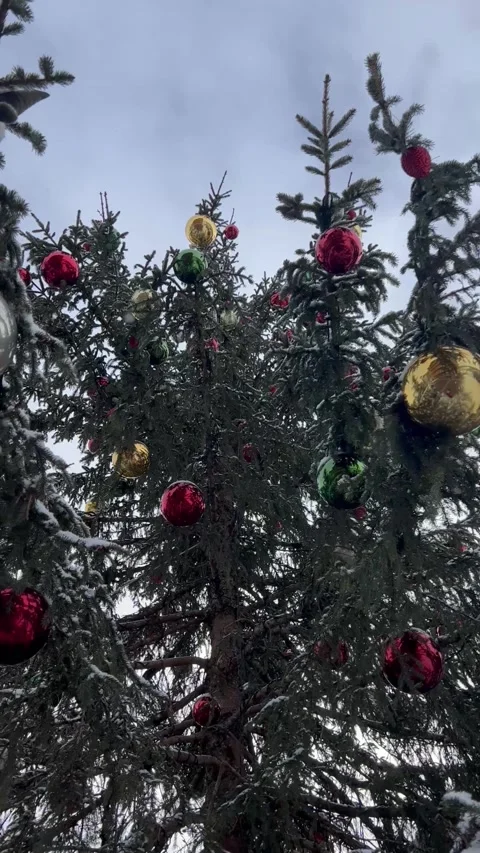 Outdoor Decorated Christmas tree under snow Stock Footage 337244171