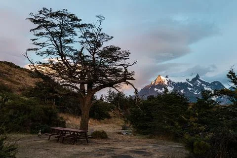 Outdoor dining area under the tree, Torres del Paine National Park, Chile Stock Photos