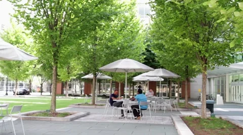 Outdoor dining, drinking coffee Vidéo 43261077