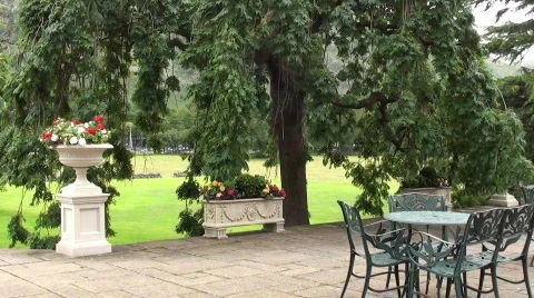 Outdoor dining Stock Footage 879128