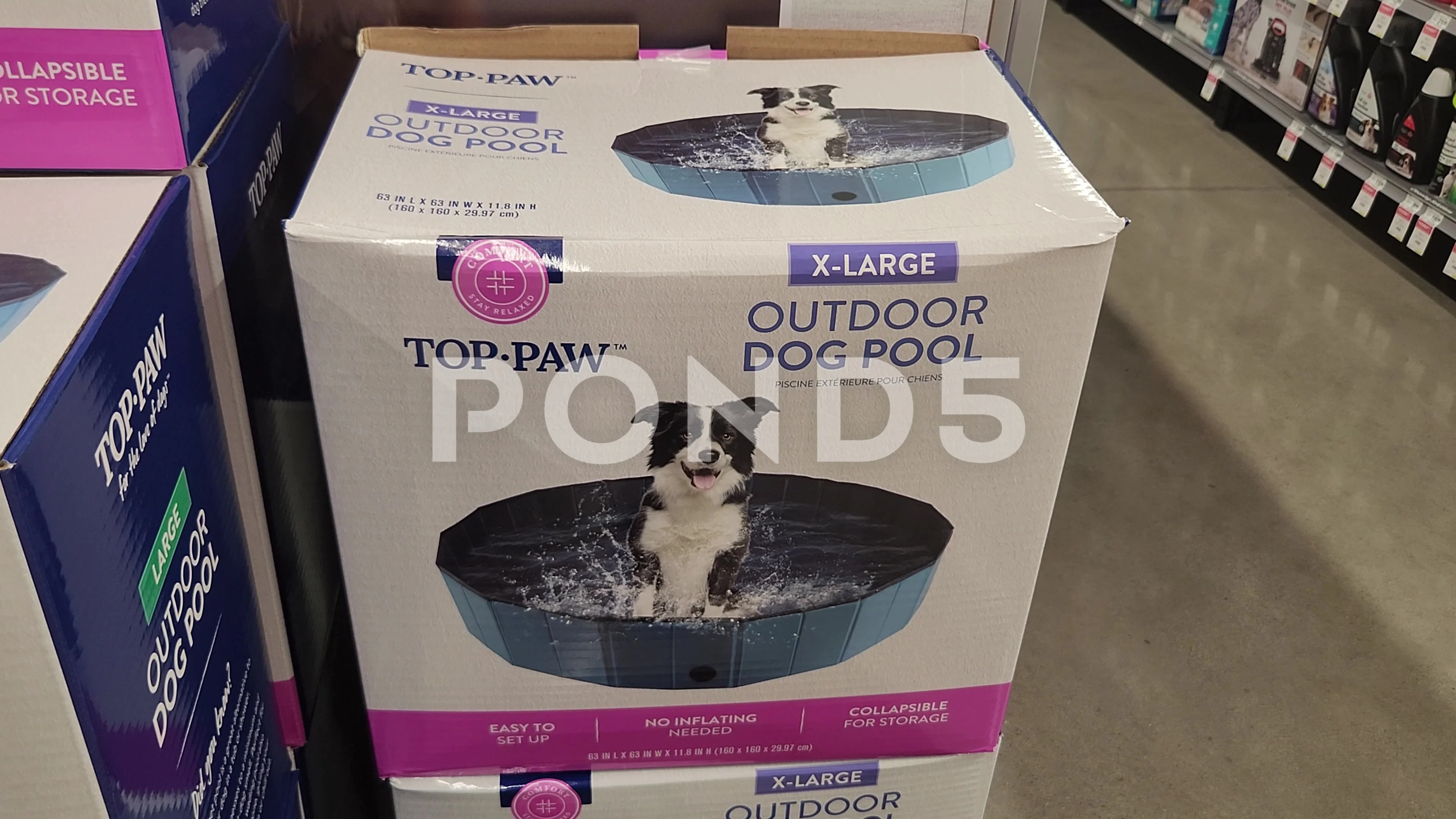 Petsmart 2024 dog pool