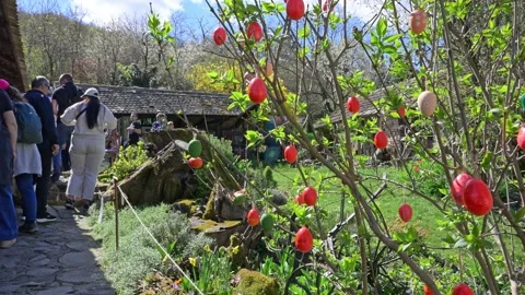 Outdoor Easter Egg Decorations on Tree Branches in Rural Garden Stock Footage 332730256
