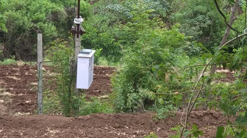An outdoor electrical box is mounted on a pole within a rural agricultural setti Vídeo Stock 336603840