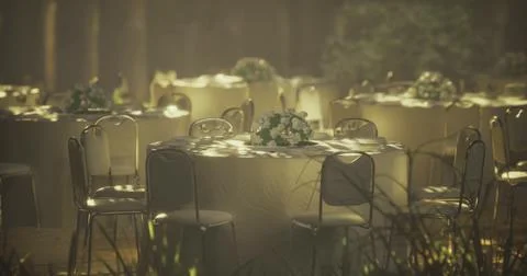 Outdoor event setup with tables and floral arrangements in sunlight Illustrazione stock