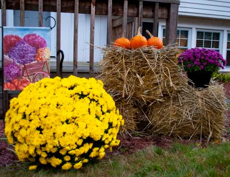 Outdoor Fall decoration Stock Photos