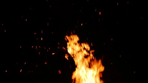 Outdoor Fire 1 動画素材 262007996