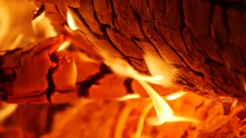 Outdoor Fire 10 動画素材 262008183