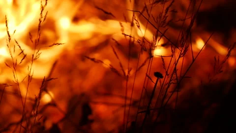 Outdoor Fire 4 Stock Footage 262008018