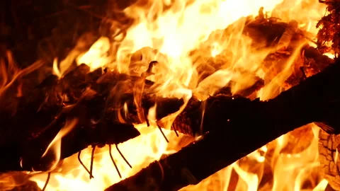 Outdoor Fire 8 動画素材 262008577