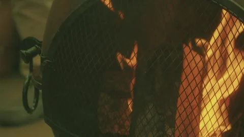 Outdoor Fire at Dusk Stock Footage 271584378