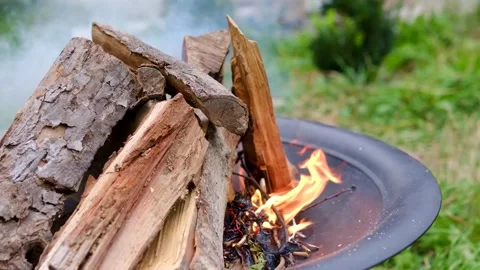Outdoor Fire Pit Burning with Wood Flames and Smoke in Green Backyard Near Stock Footage 344814034