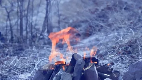 Outdoor Fireplace Stock Footage 147500600