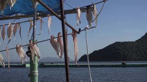 Outdoor Fish Drying in Japan Stock Footage 58729445