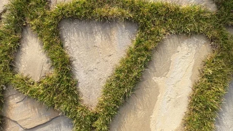 Outdoor flagstone floor with grass Stock Footage 121882453