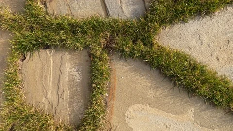 Outdoor flagstone floor with grass Stock Footage 129052114