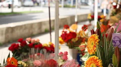 Outdoor Flower Stand Stock Footage 46121871